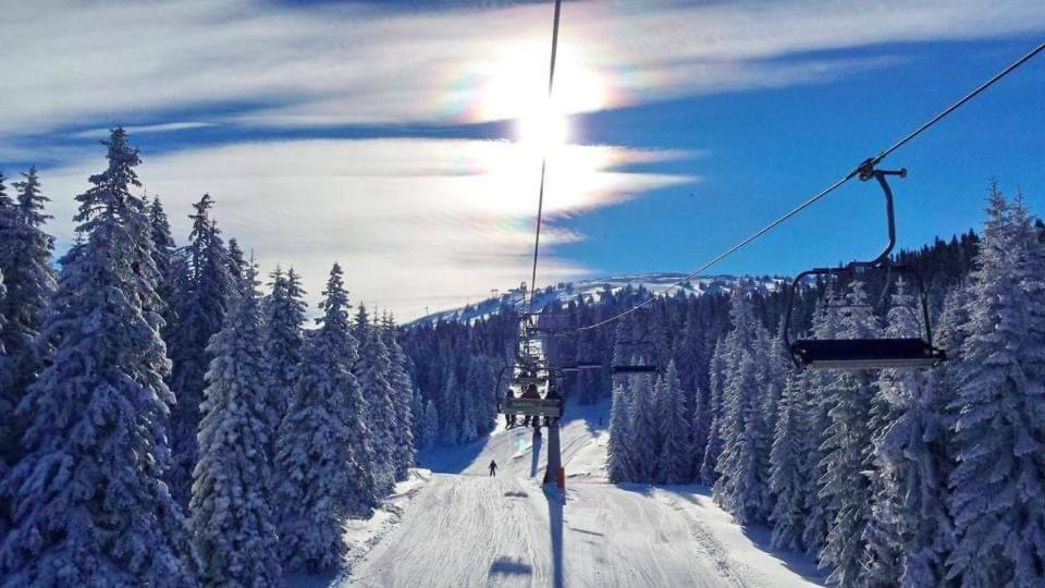 Milmari Resort Premier 46 Kopaonik Esterno foto